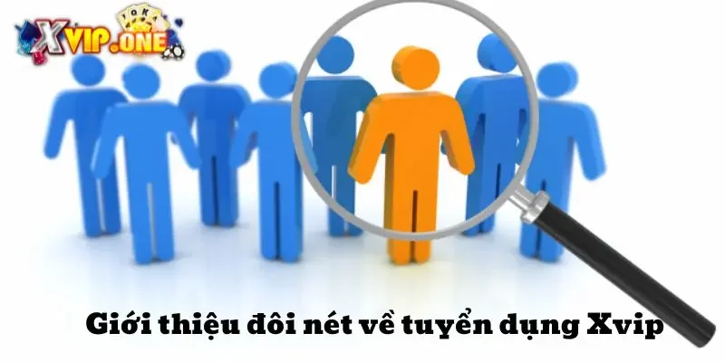 Giới thiệu đôi nét về tuyển dụng Xvip